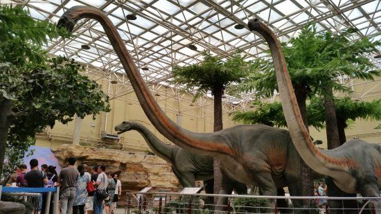 Museum of Natural History